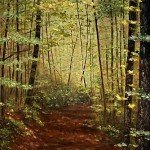 Path At Wolf Pen Mill Oil Painting